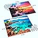 2 Pack 1000 Piece Puzzles for Adults - Beach, Coconut Tree, Reef Landscape Jigsaw Puzzles - 2000 Pieces Total