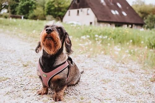 Hunter Hundegeschirr Hilo Comfort, Farbe: Altrosa, Easy Step-In Geschirr für kleine bis mittlere Hunde, mit Netzmaterial, reflektierende Elemente, angenehm leicht, modernes Design, Größe: S