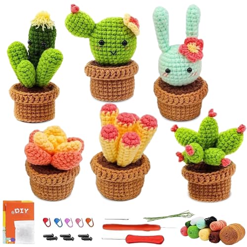 Kit crochet débutants TOATELU coffret cadeau créatif 6 cactus faits maison à offrir