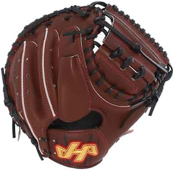 51sSGyd5N6L._AC_UF350,