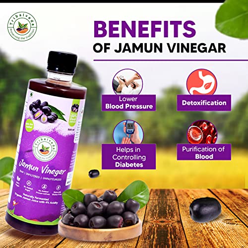 Image of TribalVeda Grand Combo Pack - Jamun Strips-80gm + Jamun Vinegar-250ml + Jamun Seed Powder-250gm + Green Tea-30 Bags, Fresh Fruit Black Plum - Organic and Natural.