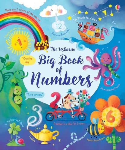 big book of numbers