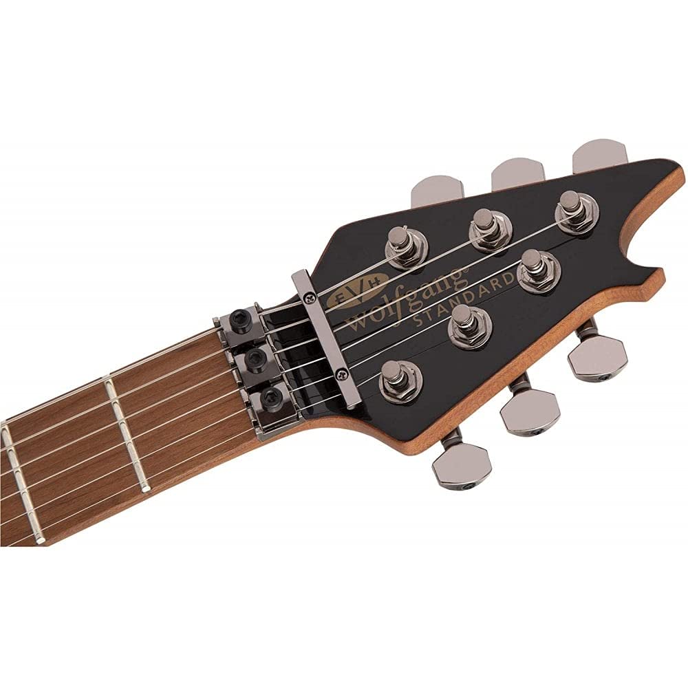 Amazon.com: EVH Wolfgang Standard QM Electric Guitar - Northern