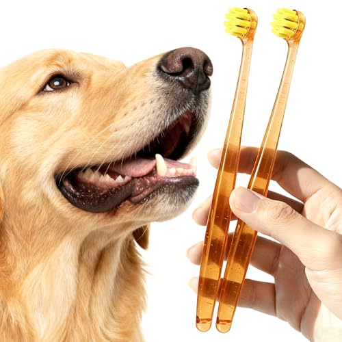 Brosse à dents pour chiens chats kit de soins dentaires doux