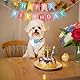 Acidea Hund Thema Geburtstagsfeier Banner, lustige Alles Gute zum Geburtstag Dekorationen Hintergrund Bunte Dekoration Kinder Baby Hund Party Zubehör