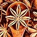Bague star anise Organic spice whole 3.5 Oz 100g 100 grams organic chakri pool