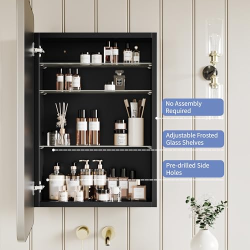 Image of Medicine Cabinet with Brushed Nickel Metal Frame Mirror, Overall 20 inchx 30 inch