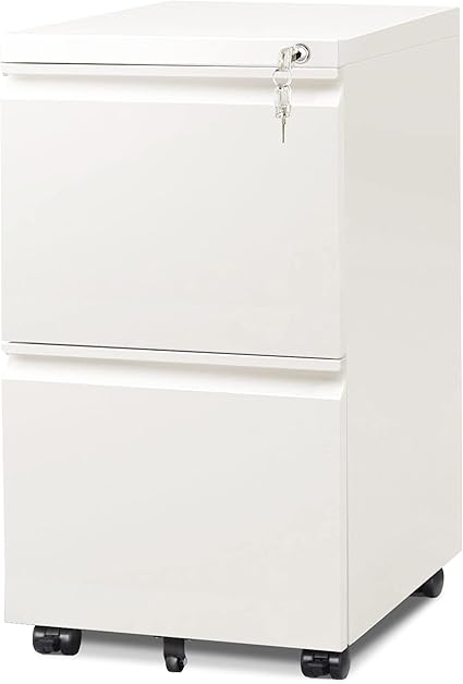 DEVAISE 2 Drawer Mobile File Cabinet with Lock, Commercial Vertical Filing Cabinet for Home Office, White