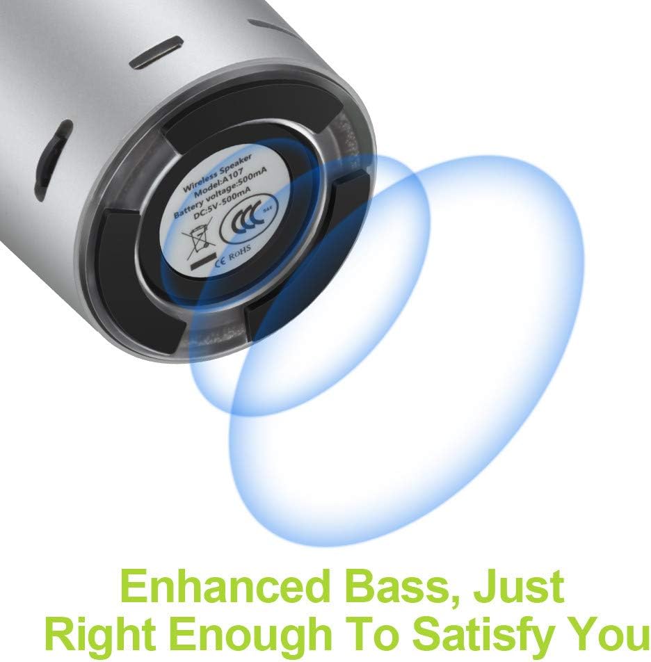 EWA Mini Metal Bluetooth Speaker A107, Bass Radiator Enhance Impactive Bass, Powerful HD Sound (Silver)