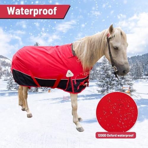 Image of Mini Horse /Pony /Donkey /Miniatur Horse Turnout Blanket, 1600D 220g Fill | Winter Turnout Blanket for Foal & Pony, Waterproof with Secure Adjustable Fit, Ideal for Stables, Paddock and Outdoor Turnout