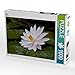 Produktbild CALVENDO Puzzle Mai 1000 Teile Lege-Größe 64 x 48 cm Foto-Puzzle Bild von Elisabeth Stephan