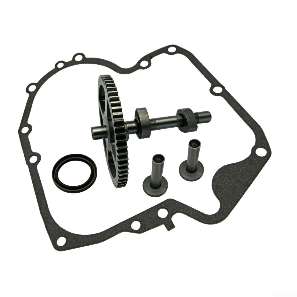 Kit de joints d'arbre à cames pour tondeuse à gazon 793880 793583 Kit de réparation de moteur vertical