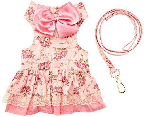Bonito pra Cachorro Roupa Pet , GG, Coral