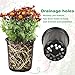 JNYONG 1 Gallon 60 Pack Plant Nursery Pots for Plants, Thickened Soft Plastic Seed Starting Pots with Drainage Holes,Seed Starting Pot Flower Plant Container for Succulents，Seedlings
