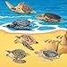 Toymany 6PCS Realistic Sea Turtle Figurines, Plastic Ocean Sea Animals Figures Set Includes of Turtles, Educational Toy Cake Toppers Christmas Birthday Gift for Kids Toddlers