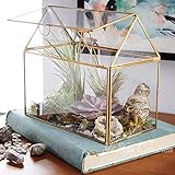 [page_title]-mbition Haus-Form-nahes Glas-geometrisches Terrarium-Glas-Terrarium, saftig, Luftpflanze-kreative Weinlese-Miniaturgeometrische geformte Glas-Blumen-Raum-kreative Hauptdekoration-Verzierung