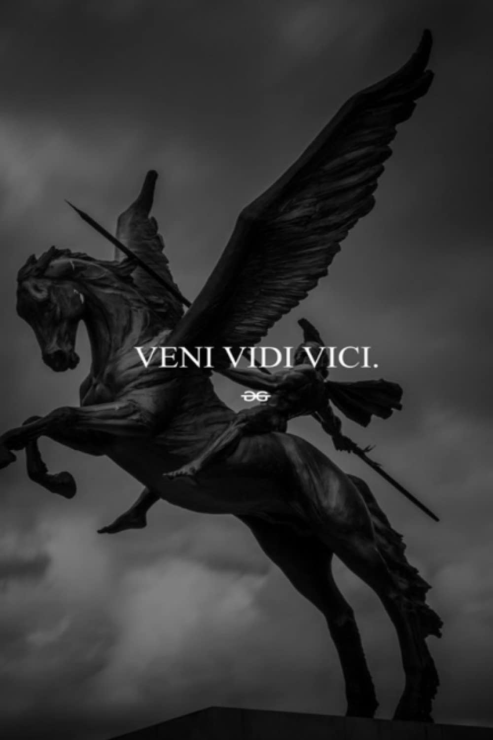 Veni Vidi Vici Spartan Warrior Notebook