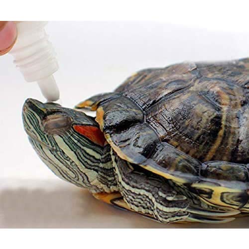 tortoise eye drops