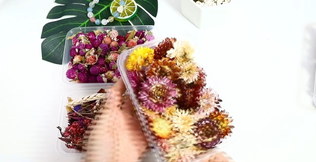 Flores secas reales para moldes de resina UV epoxy miniatura 7