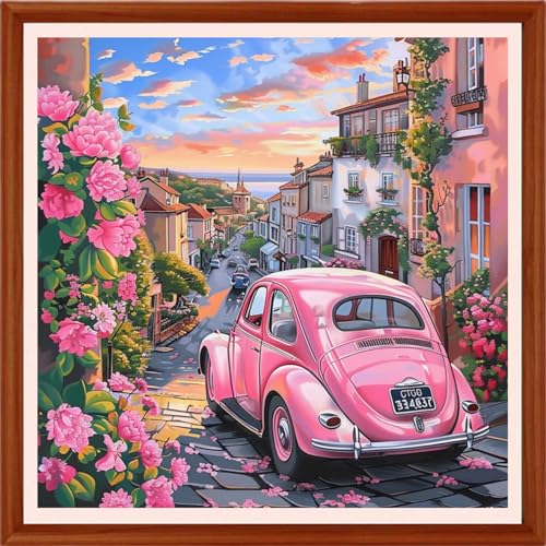 Image of Foxhool Stamped Cross Stitch Kits,11CT Printed Cross Stitch Pattern Full Embroidery Kits for Beginner Needlepoint Kits&Flower Street Scenery 18x18 inchs