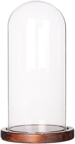 Glass Display Dome Cloche Tabletop Display Case (Cofee Wood Base, Dia3.5 x H7.4)