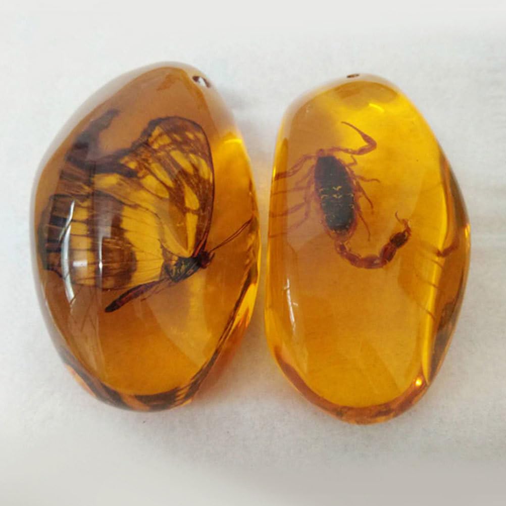 Milisten Mezcla de fósiles de con piedras de muestras de insectos. "Kristallproben Wohnaccessoires - Colección de colgantes ovalados para niños (2 unidades)