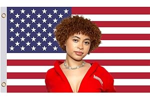 3'x5' Ice Rapper Spice Flag with Brass Grommets - Funny Tapestry Cool...