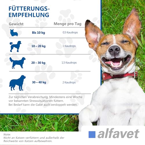 Alfavet CaniGum Relax, Ergänzungsfuttermittel für Hunde mit L-Tryptophan und B-Vitaminen, Beruhigung und Nervenstärke, 120g Kaudrops