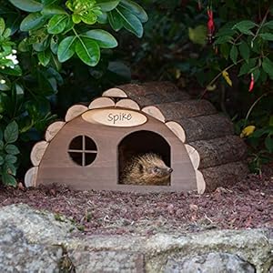 CKB LTD Houten egel- of caviahuisje voor buiten – hotel kan ook als overwinteringshuis voor de tuin worden gebruikt, 33,5 x 34 x 19 cm