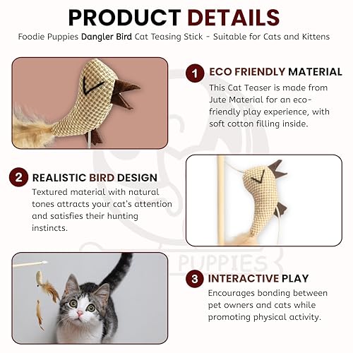Image of Foodie Puppies Wooden Cat Teaser Wand Stick (Double Dangler Bird) with Feather Tail & Elastic Rope | Interactive Teasing Stick for Cats & Kittens I Indoor Play, Exercise & Stress Relief (41.5 cm)
