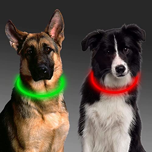 Aicharynic LED Collar Perro, 2PCS Collar Luminoso Perro, 3 Modos Collar de Seguridad LED USB Recargable, Collar Perro para Mascotas, LED Brillantes Collar Ajustable para Todos los Perro - Verde Rojo