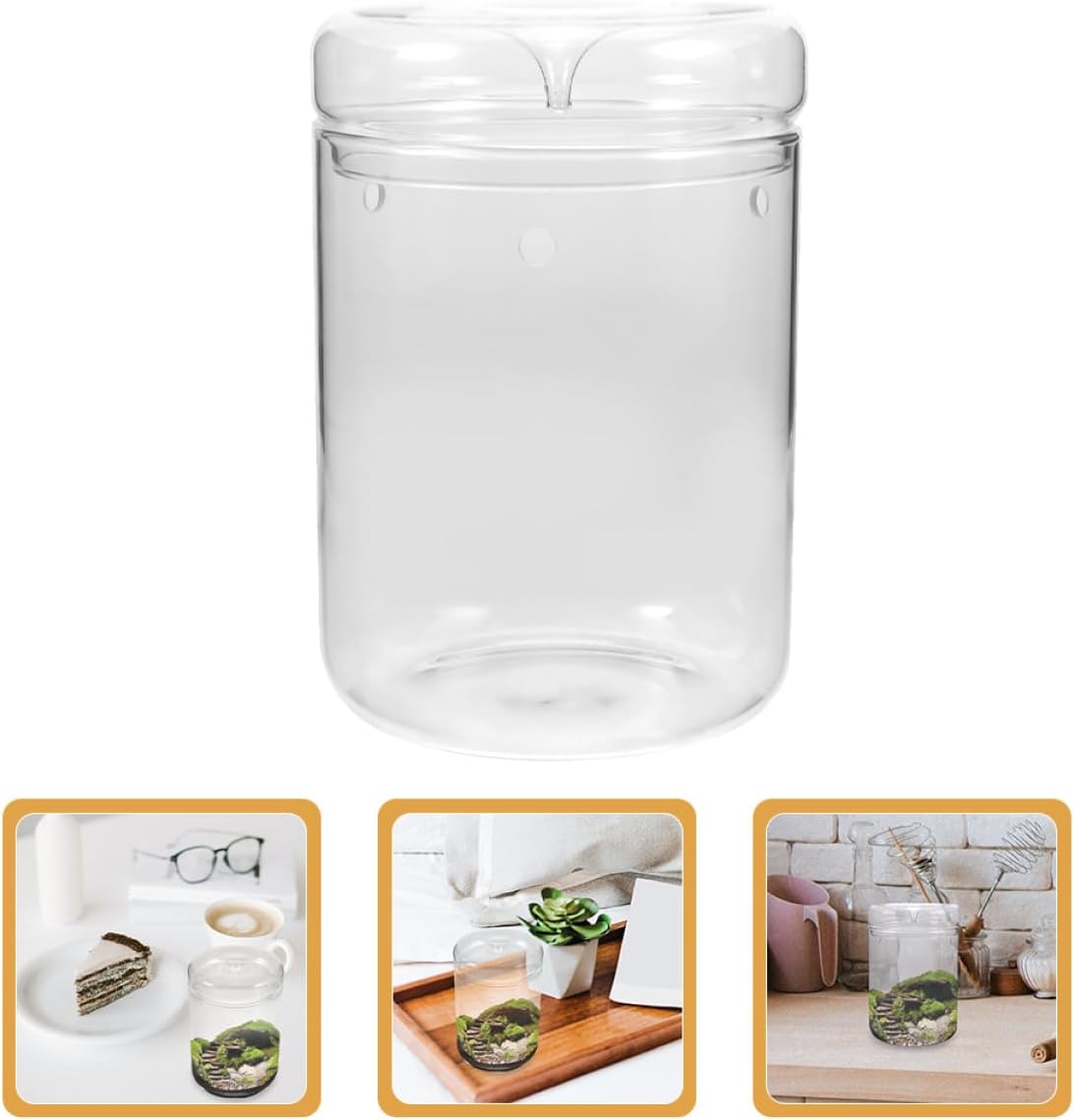 Terrarium Vase DIY Micro Landscape Planter Bottle Elegant Glass and