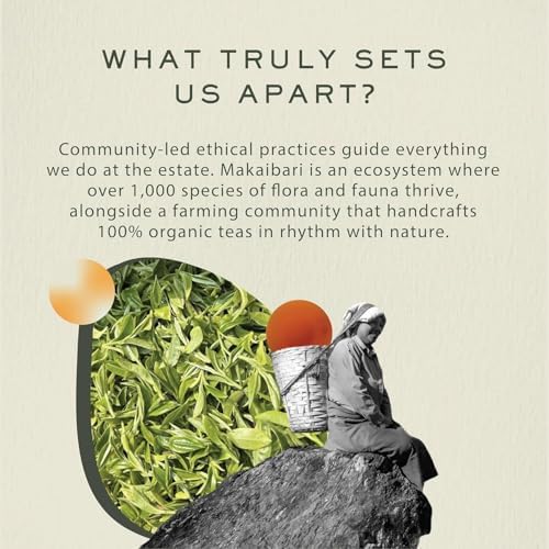 Image of Makaibari Darjeeling Green Tea | 250gm Chestlets box | Antioxidant-Rich | USDA Certified Organic | Immunity Booster | Premium Green Tea | Handpicked | 100% Natural Loose leaf