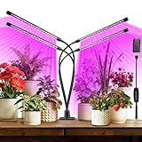 zixunix Pflanzenlampe LED Vollspektrum Grow Light mit Timer & 10-stufig Dimmbar – Hoher PPFD für Hydroponik, Indoor-Garten, Blumen und Gemüse | Ideal für Keimung, Wachstum & Blüte | Energiesparend