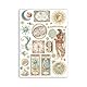 Stamperia - Washi Pad for Scrapbooking, Albums, Card Making, Bullet Journalling and More, Translucent and Easy to Cut, Acid Free, Perfect for Hobbies, Crafts, and Gifting (Fortune) (A5) (8 Sheets)