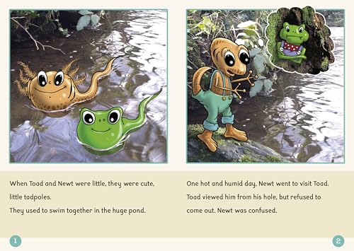 Phonic Books Dandelion Readers Further Spellings and Suffixes Level 4: (Alternative spellings for vowels and consonants, alternative sounds for the ... and 'g') (Phonic Books Beginner Decodable) - Image 4