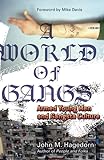 A World of Gangs: Armed Young Men and Gangsta Culture (Volume 14) (Globalization and Community)