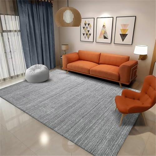 Tapis de salon moderne gris 80x160cm résistant et antidérapant - 2