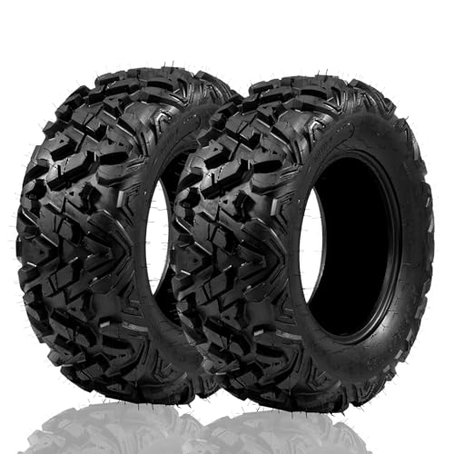 Set of 2 22x10.00-10 ATV UTV Tires 22x10x10 All Terrain Spare Tires 4PR Tubeless