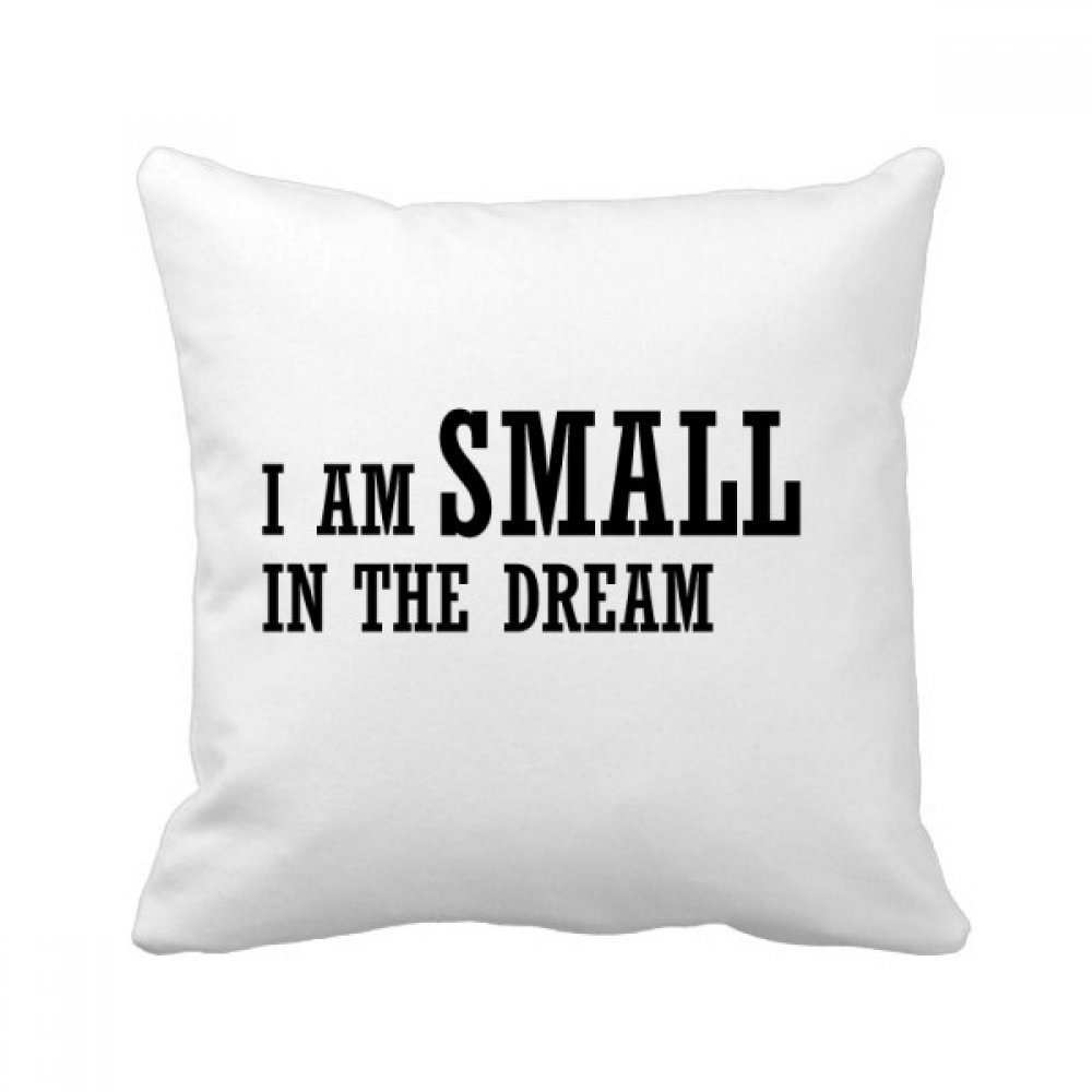 Oreiller cadeau Je suis Le Presidengt dans Le rêve coussin décoratif original 40 x 40 cm