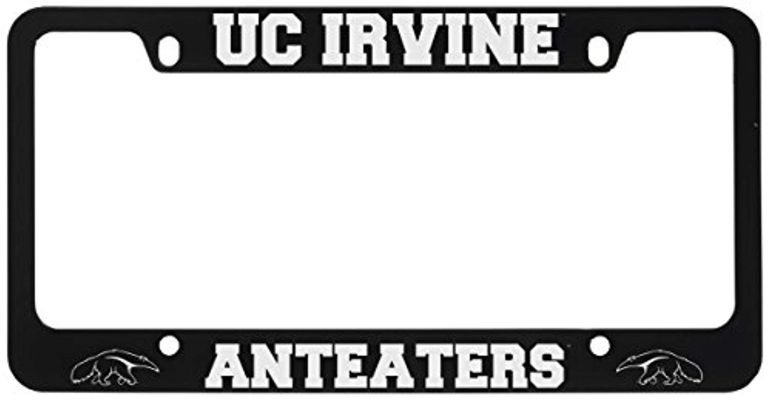 Amazon.com: Stainless Steel License Plate Frame - UC Irvine Anteaters :  Automotive