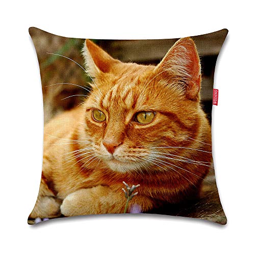 WEIANG Housse de coussin double face avec motif de chat mignon pour voiture, maison, canapé - 45 x 45 cm Cover