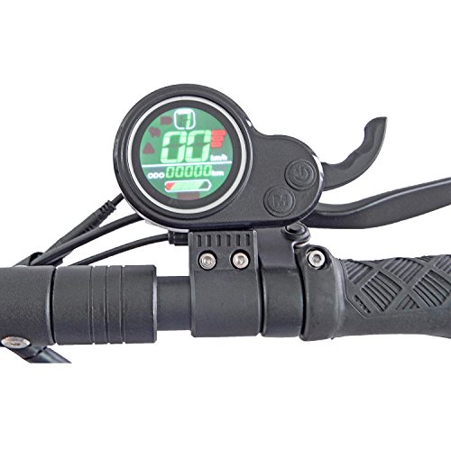 Monopattino Elettrico Wiizzee WS7 Max