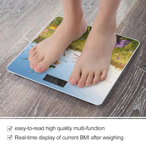 Báscula digital de baño Dragonfly Meadow con sensores de alta precisión miniatura 5