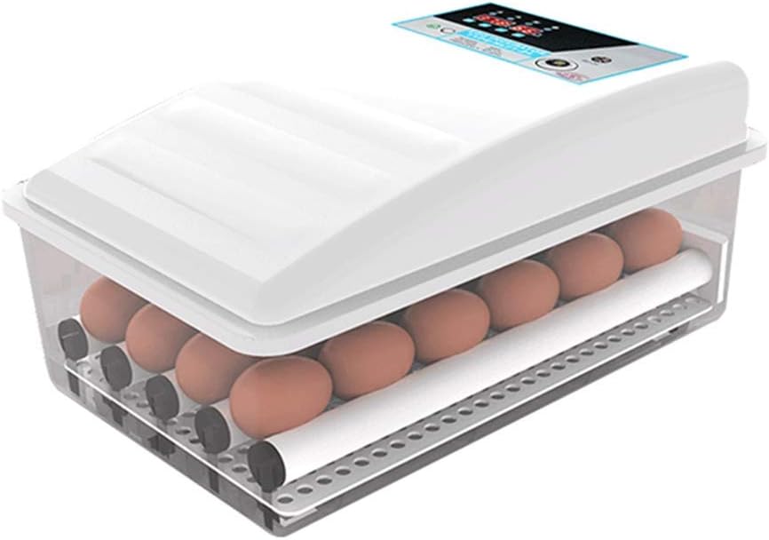 ZHONGXIN Mini Eggs Incubator, Transparent Hatcher Household Chicken Duck Goose Automatic, White (D)