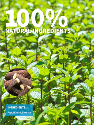 Image of TeeLux Licorice Peppermint Tea, Natural Soothing Peppermint with Sweet Licorice Root, Caffeine Free, 100 Count