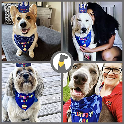 Odi Style Dog Birthday Party Supplies - Dog Birthday Bandana Set - Birthday Boy Bandana For Medium, Large Dogs, Party Hat, Crown And Cute Dog Birthday Banner With It's My Birthday Mother Puppers Sign #TOP7