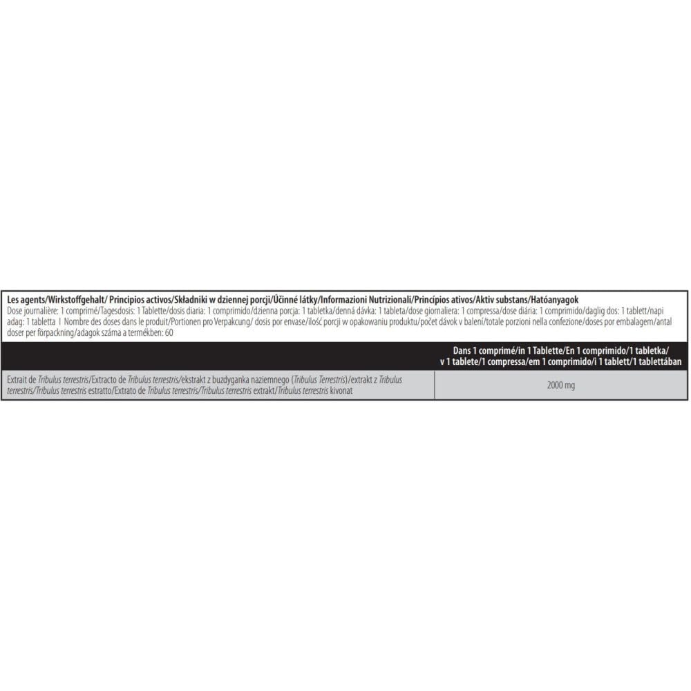 BioTechUSA Tribooster, Nahrungsergänzungsmittel Tabletten mit Triblus Terrestris, 60 Tabletten
