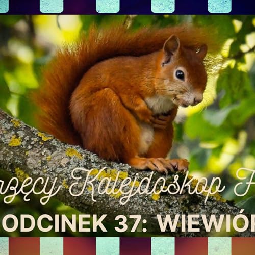 Zwierzęcy Kalejdoskop Filmowy - Odc. 37: Wiewi&oacute;rka