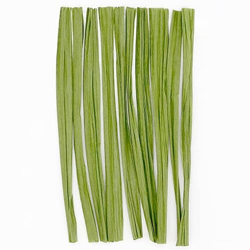 C[胉tBA12cm O[ / 30{ xVX J\^CE[Ea^C